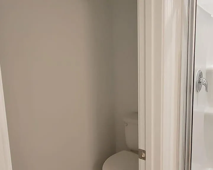 Bathroom within the Master bedroom