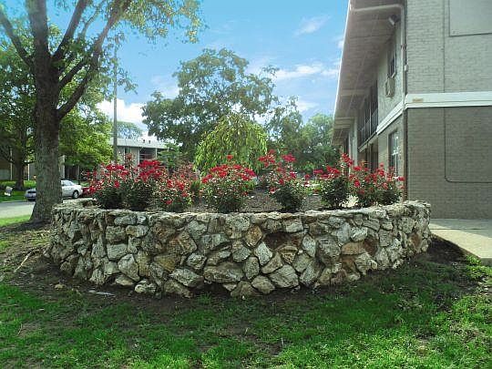 5th image of 1684 Shanley Dr APT 6
