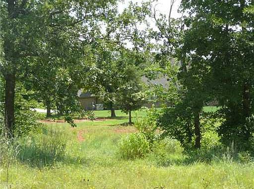 2nd image of 886 S Morgan Ave 19-lot 19