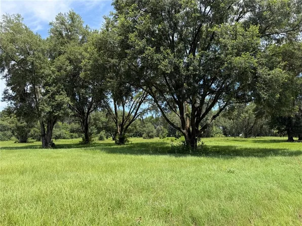 329 Lot 5, Reddick, FL 32686