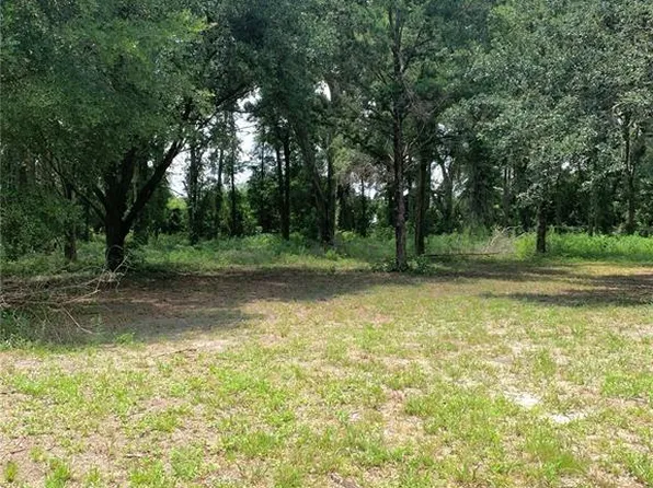SW 19th Cir Lot 7, Trenton, FL 32693