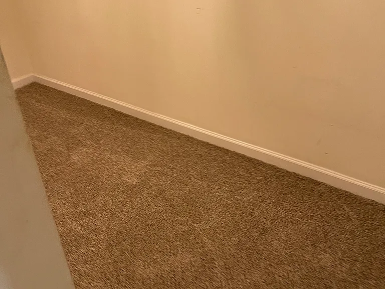 4719 Forestridge Commons Dr — Photo 11
