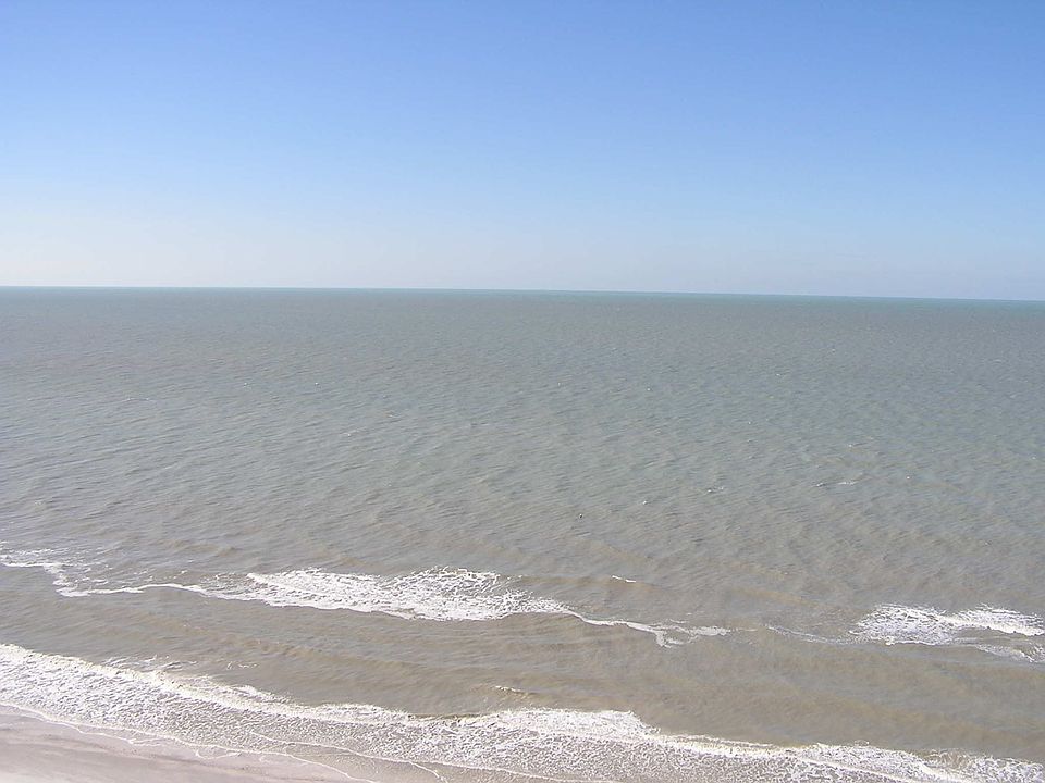 Gulf View From The Penthouse