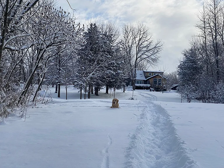 Cross-country skiing down the backyard into the 10 acres with access to the fish and wildlife property. Looking back at the house