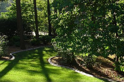 front yard looking towards street