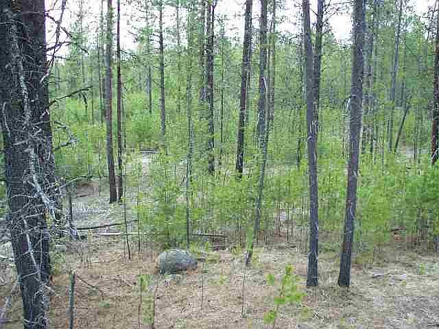 2nd image of 37710 N Valley Rd