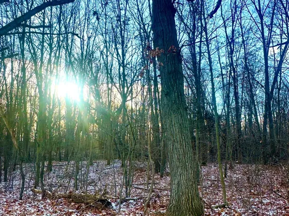 PARCEL 24 Howlett Rd, Gregory, MI 48137