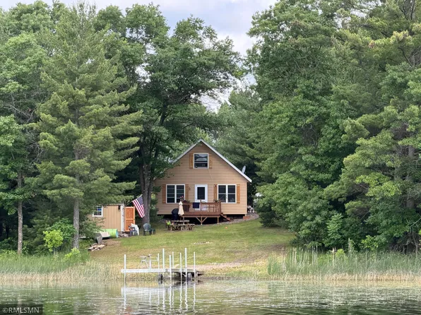39806 Pine Island Point Trl, Browerville, MN 56438