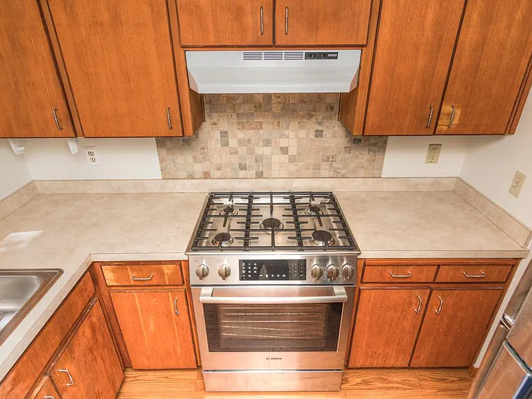 Gas cook stove