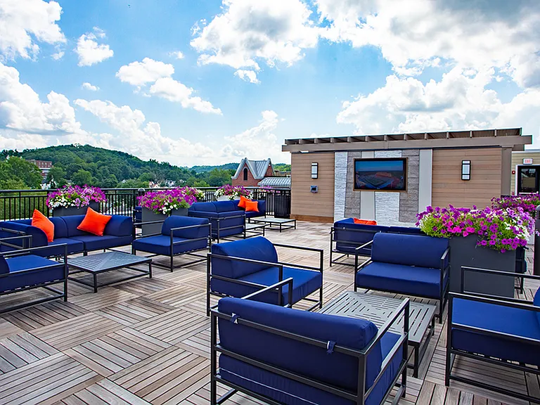 Gorgeous greenspace views from the rooftop deck