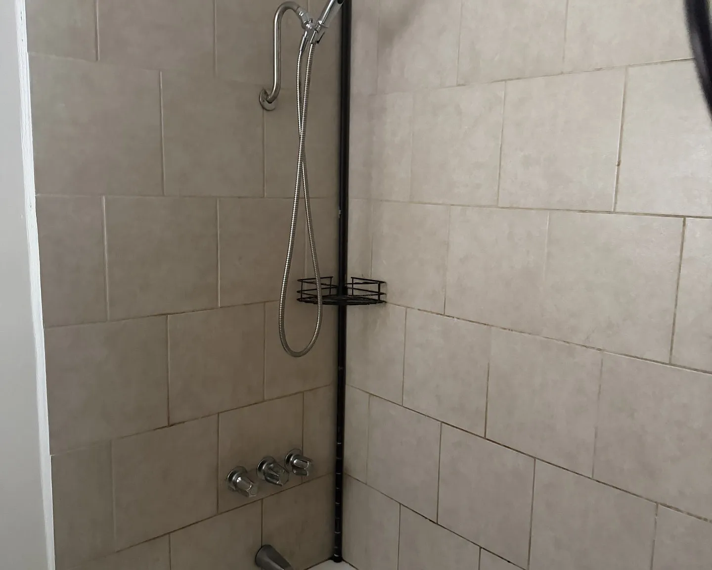 1 bed, $1,895 — Photo 4