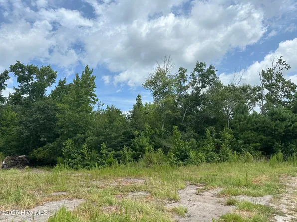 Near 99 Andrews Lake Drive, Tabor City, NC 28463
