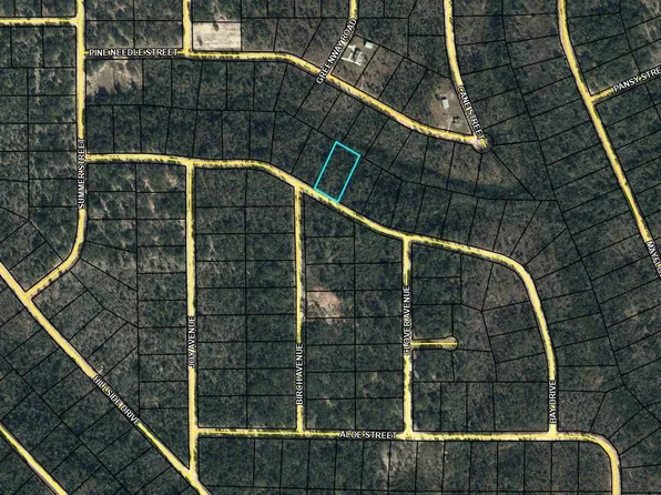 LOT 46 Bay Dr, Marianna, FL 32448