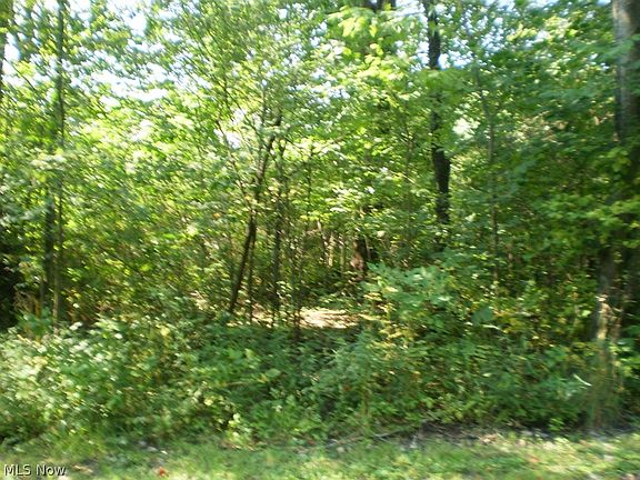 2nd image of Cornelia Dr