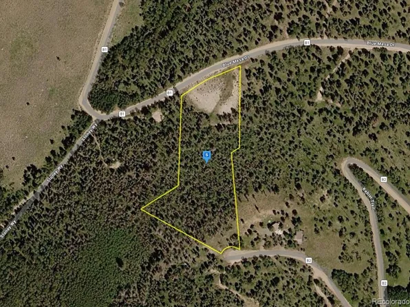 1015 Kebler Trail, Powderhorn, CO 81243