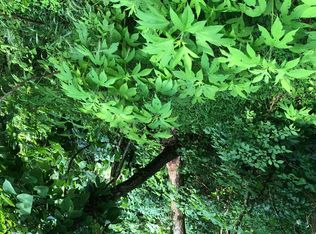 Lonesome Valley Rd, Tazewell, TN 37879