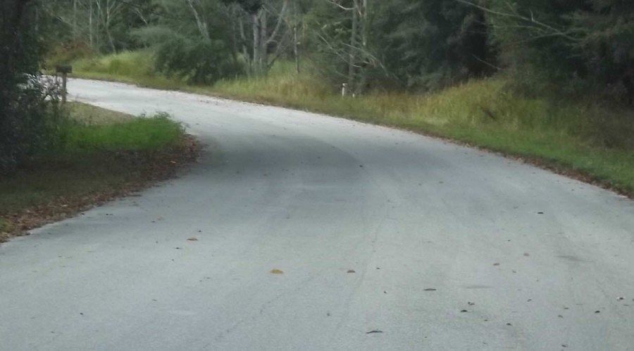 2nd image of 18 Pine Course Pass