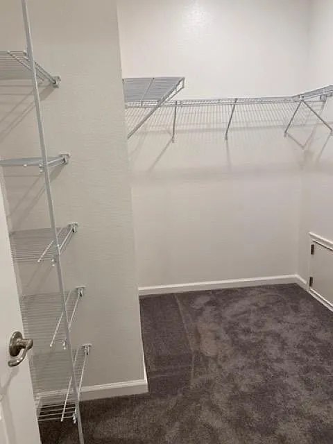 539 Potere Dr — Photo 3