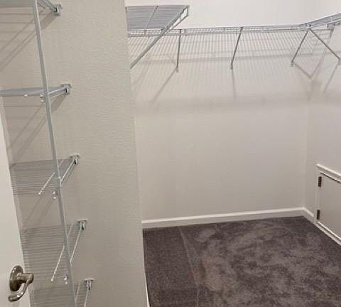 walk in closet in master bedroom
