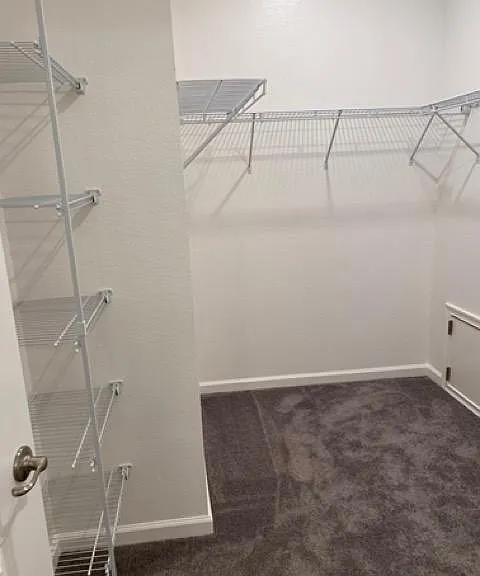 walk in closet in master bedroom