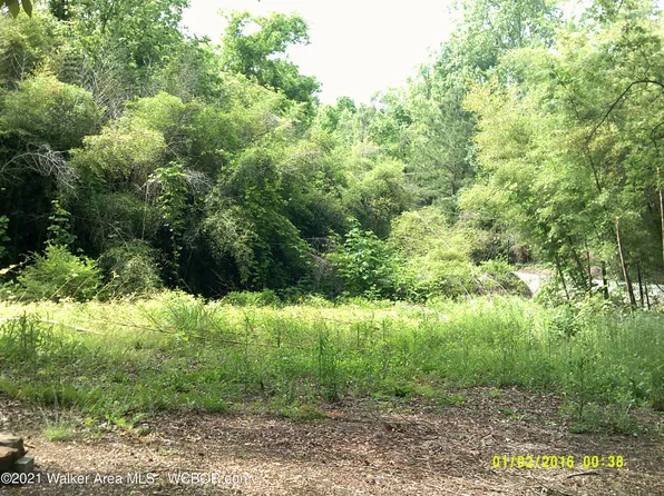 75 Marylee Rd, Jasper, AL 35504