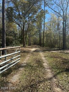 3511 Pipkin Rd, Bonifay, FL, 32425