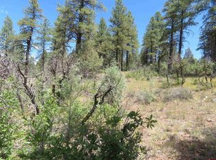 16 Crooked Road, Pagosa Springs, CO 81147