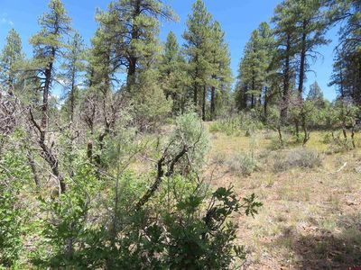 16 Crooked Road, Pagosa Springs, CO, 81147