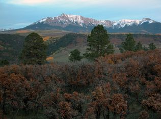 550 High Bluff Dr #3, Placerville, CO 81430