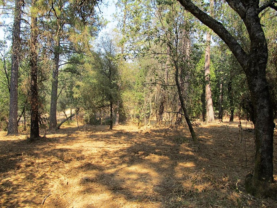 1st image of 1153 Madrone Ln
