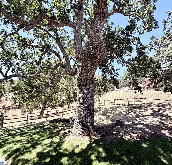 29861 Greenwater Dr — Photo 36