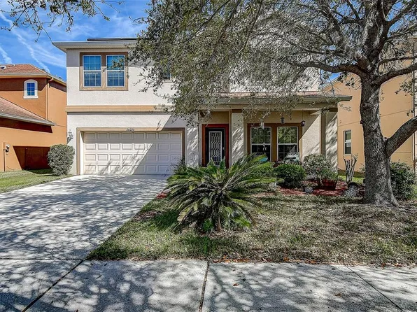 20220 Autumn Fern Ave, Tampa, FL 33647