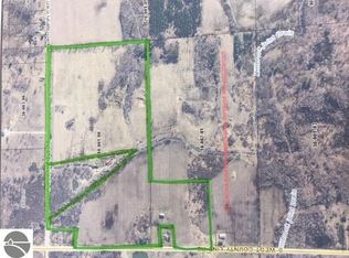 4295 SW County Line Rd, Remus, MI 49340