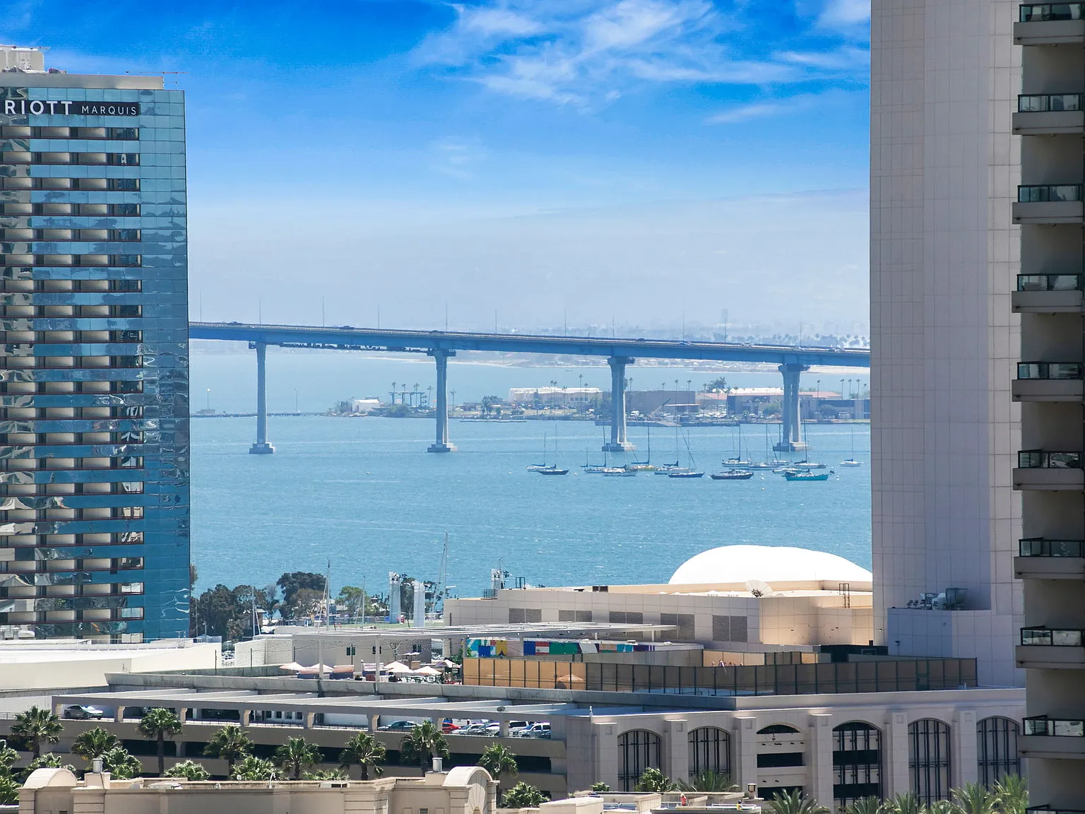 1 bed, 1.5 bath, 899 sqft, $3,895 — Photo 3