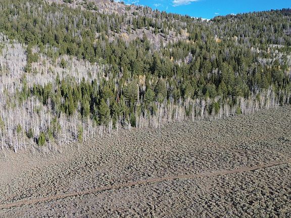 5th image of Miller Creek Rd