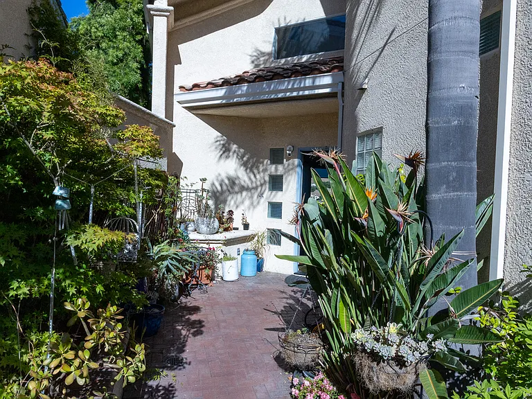 Front Yard