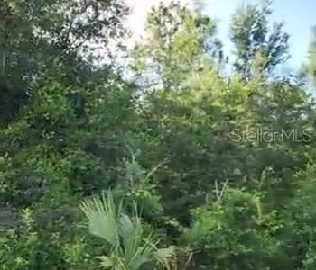 SE 97th Ave LOT 31, Summerfield, FL, 34491
