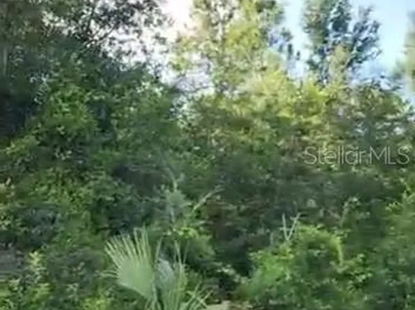 SE 97th Ave Lot 31, Summerfield, FL 34491