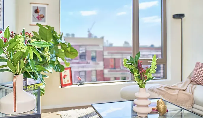 Rented by Living New York | media 12