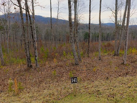 4th image of LOT 141 Twisted Oak Rd