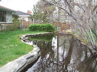 backyard pond