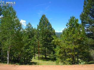 117 Utah Way, Florissant, CO 80816