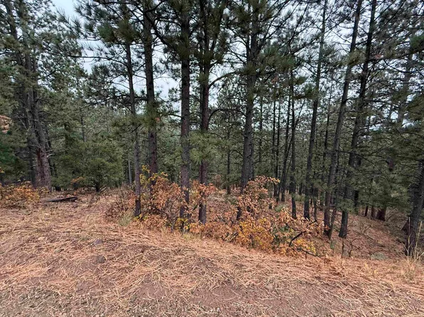 LOT 121 Valley Rd, Angel Fire, NM 87710
