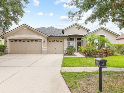 16104 Bridgedale Dr, Lithia, FL, 33547
