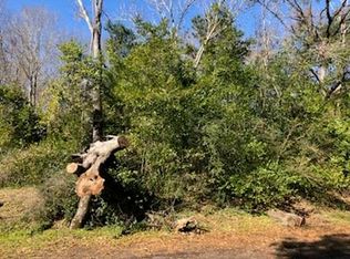 0 Marlin Dr LOT 312, Hemphill, TX 75948