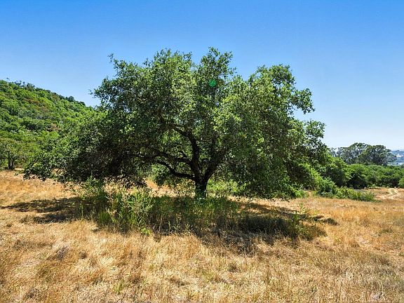 5th image of 70 Oxford Drive