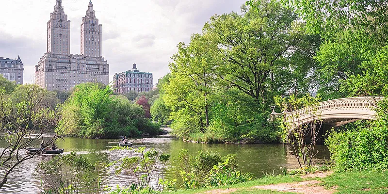 Rented by Compass | media 13