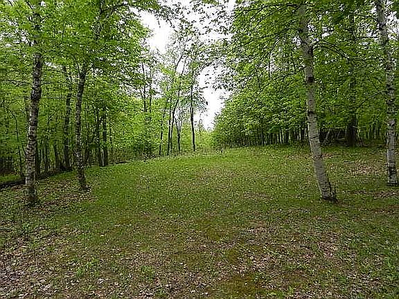 3rd image of 5.29 Acres West Blf S