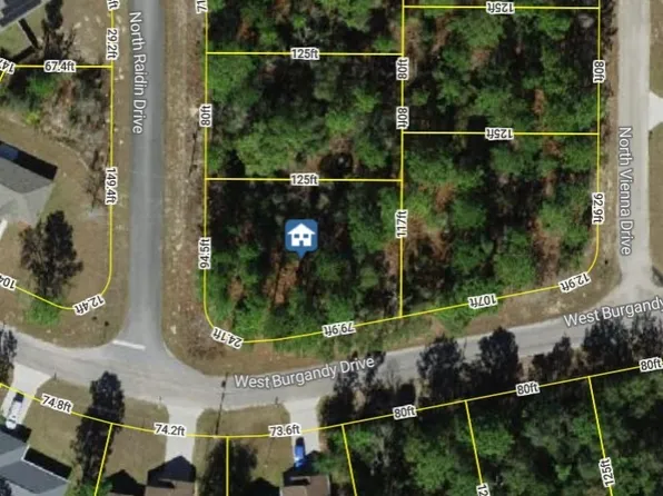 8737 N Raidin Dr, Citrus Springs, FL 34433