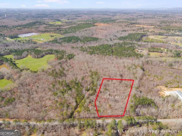TRACT 2 Georgia Hwy #100, Buchanan, GA 30113